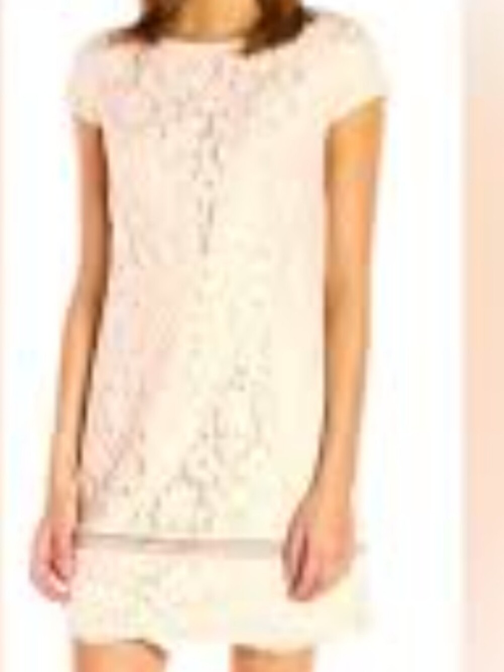 NWT Vince Camuto Blush Lace Dress.     Size 4